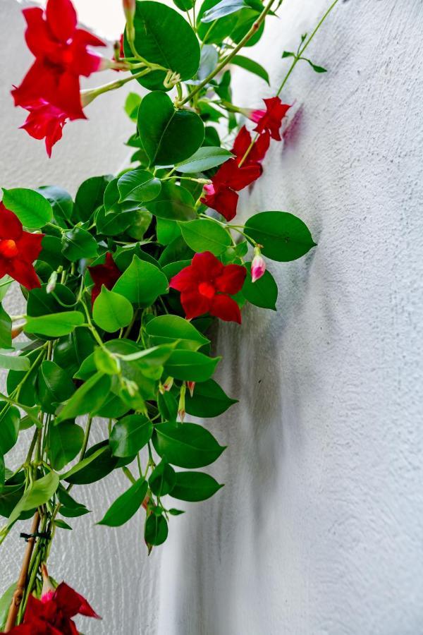 Antonella Home B&B Bari Dış mekan fotoğraf