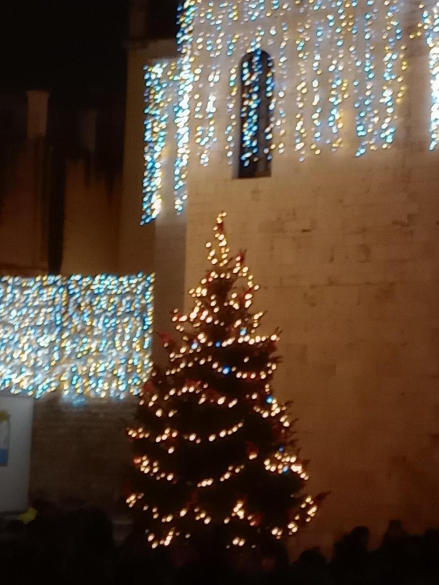Antonella Home B&B Bari Dış mekan fotoğraf